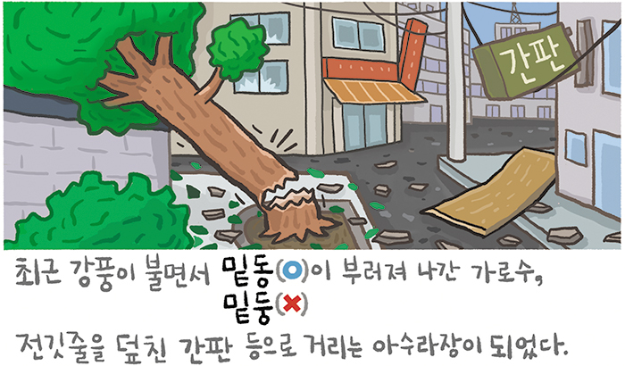 [예쁜 말 바른 말] [311] '밑동'과 '밑둥'