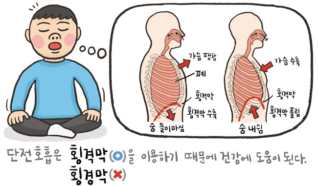 [예쁜 말 바른 말] [318] '횡격막'과 '횡경막'