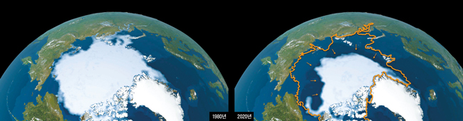 미 항공우주국(NASA)에서 관측한 1980년 9월(왼쪽)과 2020년 9월(오른쪽)의 북극 모습. 북극해에 떠 있는 얼음 덩어리가 40년간 녹으면서 크기가 줄어들었어요. /NASA과학시각화스튜디오