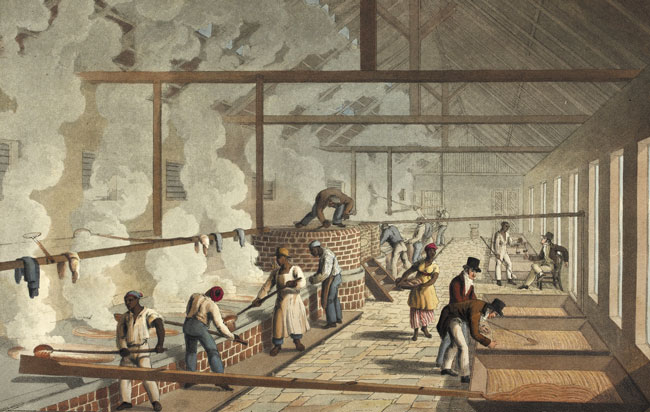 설탕을 만들고 있는 아프리카 노예들이 그려진 그림. /영국도서관