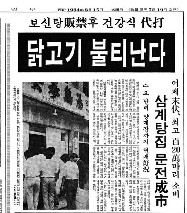 1988년 서울 올림픽을 앞두고 보신탕 판매가 금지되자 삼계탕집이 문전성시를 이룬다는 내용의 1984년 8월 15일 자 조선일보 기사. /조선일보 뉴스라이브러리