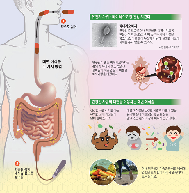 /그래픽=진봉기