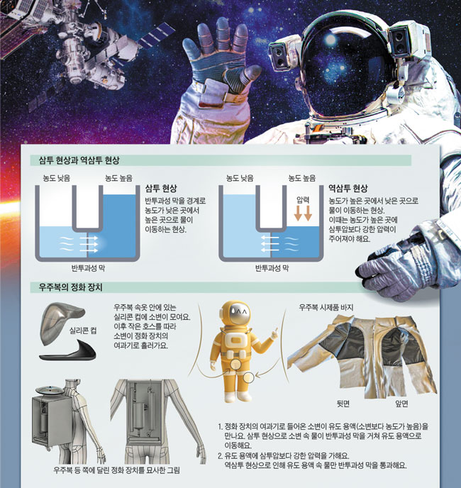 /그래픽=유재일