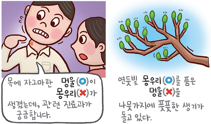 [예쁜 말 바른 말] [391] '멍울'과 '몽우리'
