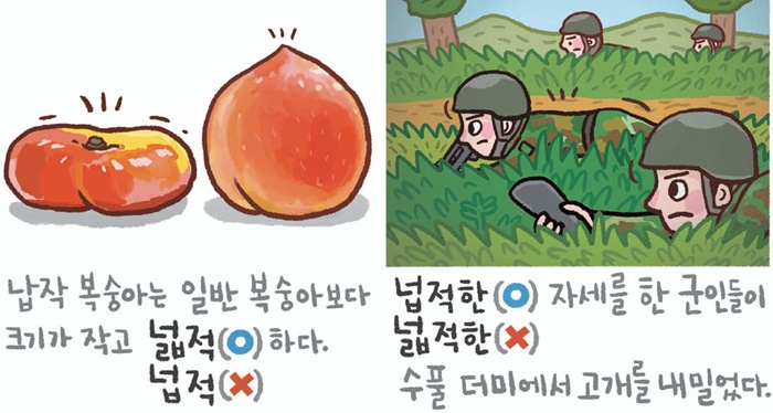 [예쁜 말 바른 말] [411] ‘넓적하다’와 ‘넙적하다’