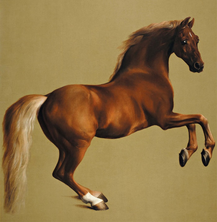 30년 넘게 말을 그린 화가 조지 스텁스의 ‘휘슬자켓’. 휘슬자켓은 경주에서 우승한 말의 이름으로, 스텁스가 휘슬자켓 주인의 요청을 받고 그렸어요.
/런던 내셔널 갤러리