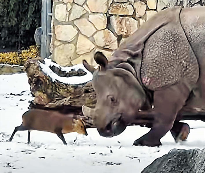 zoo wroclaw 페이스북