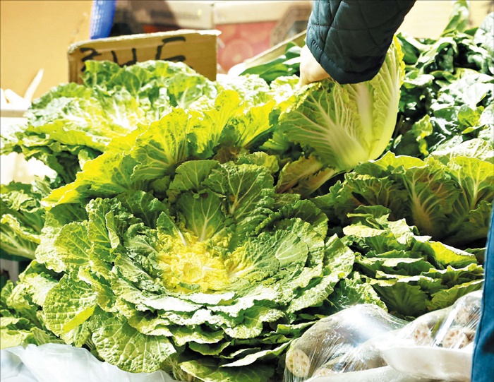 지난 4일 서울의 한 시장에 봄동이 진열돼 있어요. 봄동은 배추의 한 품종입니다. /연합뉴스