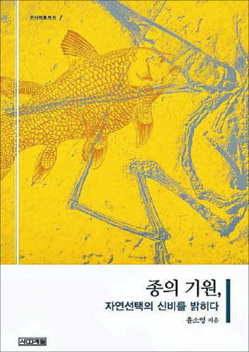 [꼭 읽어야하는 고전] 섬마다 부리 크기·모양 다른 핀치새… 환경 따라 적응한 '자연 선택' 결과죠