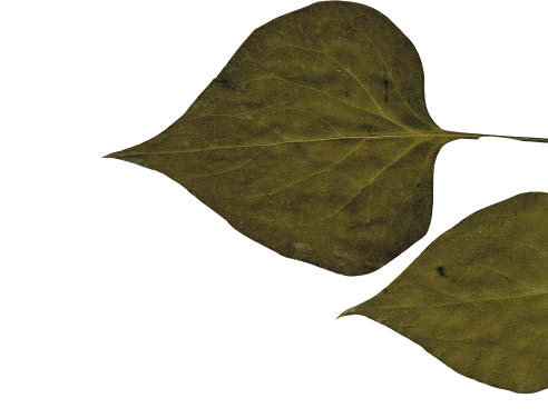 국립생물자원관