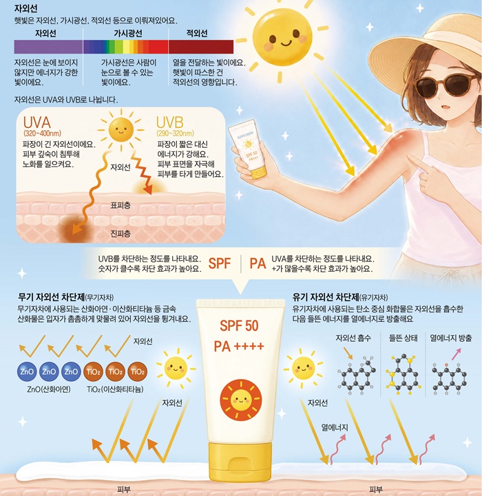[재미있는 과학] 선크림이 자외선을 반사할 뿐 아니라 흡수도 한대요