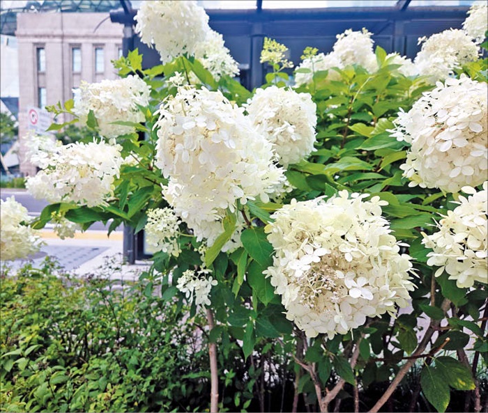 김민철 기자