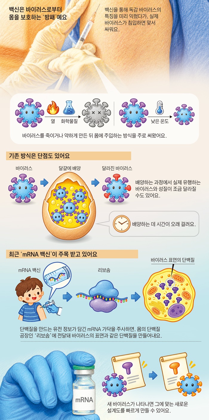 그래픽= 유재일