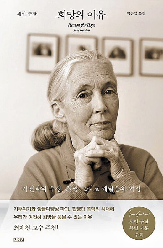 [재밌다, 이 책] 식물 줄기로 흰개미 사냥하는 침팬지 발견… '인간만이 도구를 쓴다'는 생각 깨졌어요
