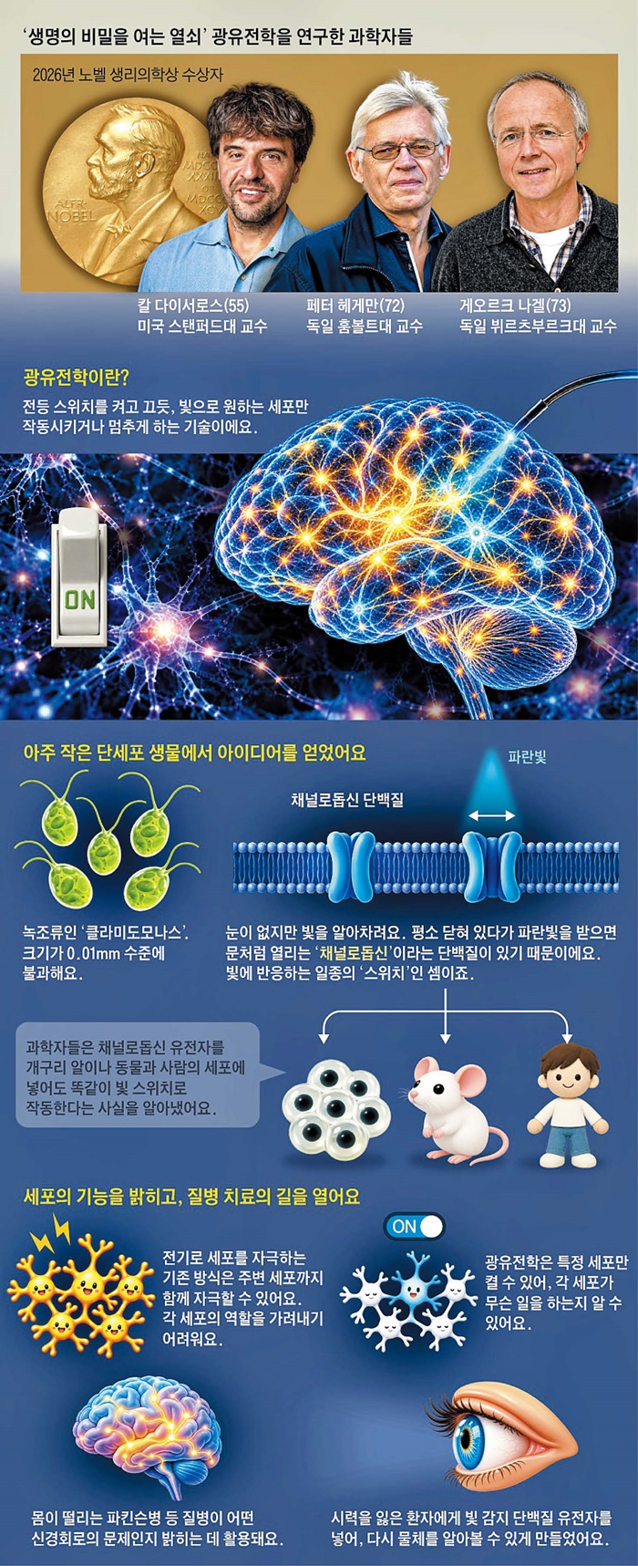 그래픽= 유재일